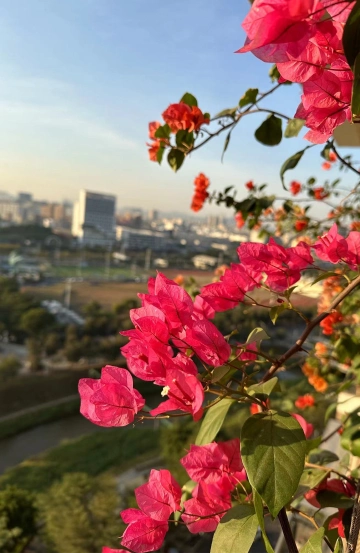 #我的年度关键词#