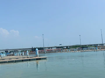 #我的年度关键词#