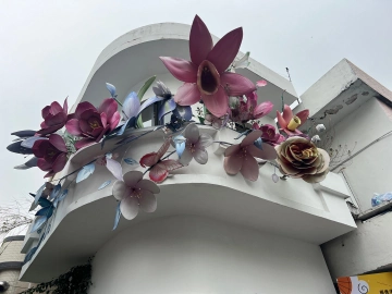 #我的2024年目标清单#