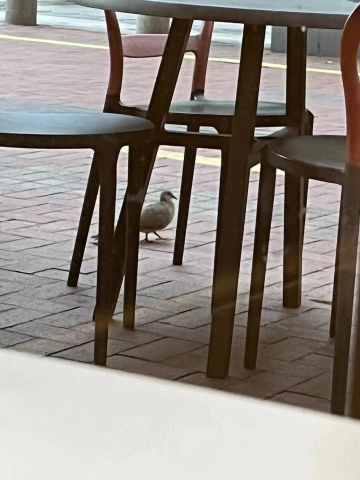 #我的2024年目标清单#