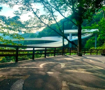 #深圳高颜值冬天#暖阳下的绿道