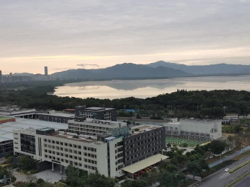 深圳湾的早晨。