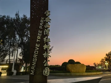 #深圳高颜值冬天#