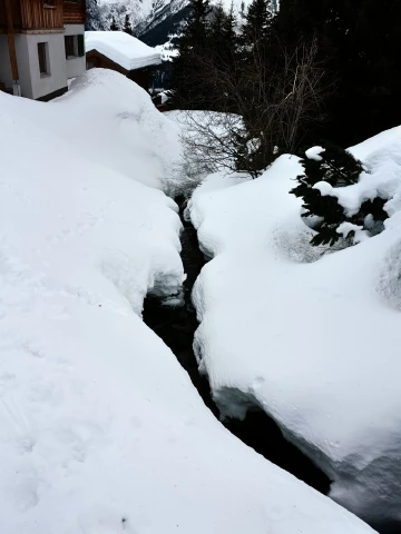 雪