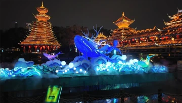 #来深过大年,圳的很好玩#