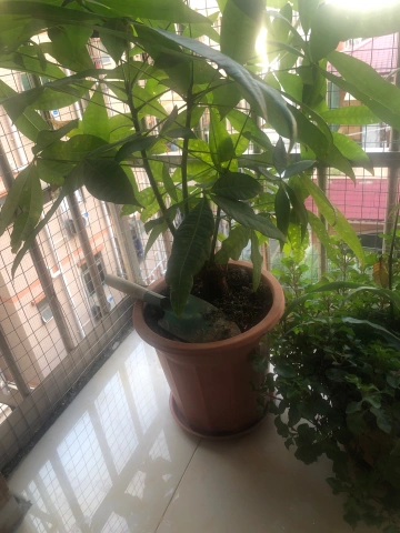 结束回南天气了