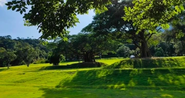春日暖阳之恩上湿地公园