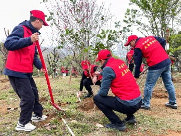 “春‘锋’十里添新绿 ‘植’此青绿不负春