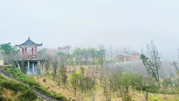 三洲田雾色醉樱亭