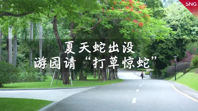 夏天蛇出没，深圳人记得“打草惊蛇”！
