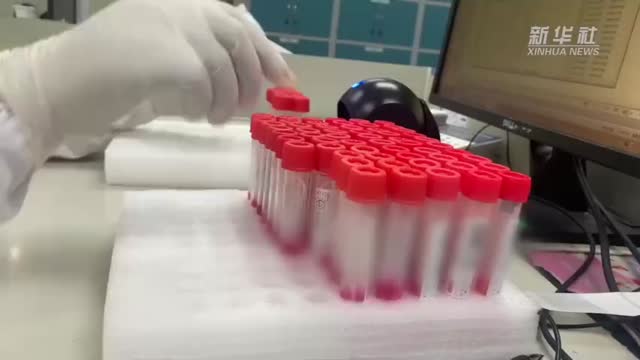 郑州：日检200多万人份的核酸检测实验室长啥样