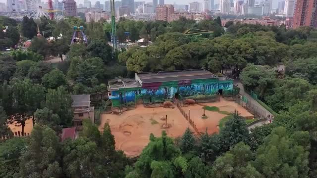 大象乖乖伸脚做美甲，网友：看起来好享受
