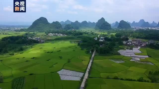 超美！桂林千鹭归巢美景