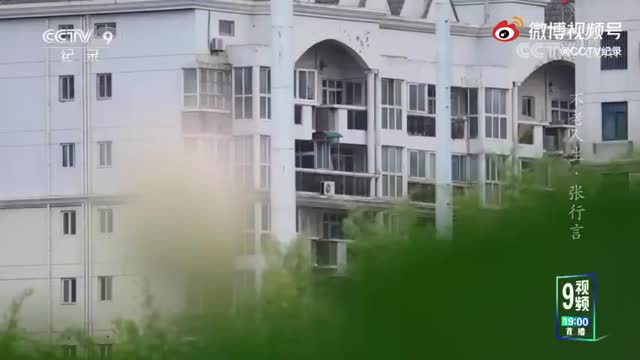 夫妻携手近70年培育荷花800余种