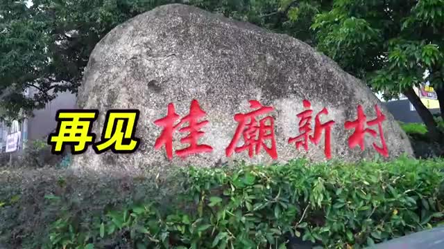 再见了，桂庙新村！