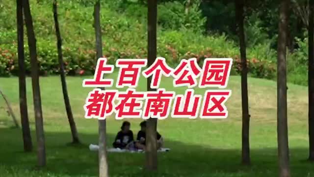 深圳一个区就有上百个公园