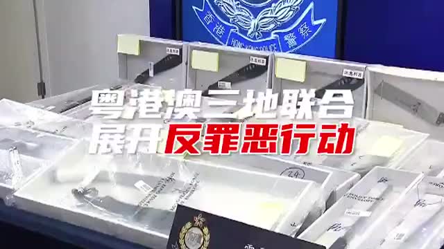 粤港澳三地联合反罪恶