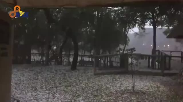 非洲赤道国家喀麦隆出现罕见降雪，民众趴在雪地玩耍超兴奋