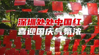 满城尽是中国红！深圳街头悬挂11万面国旗