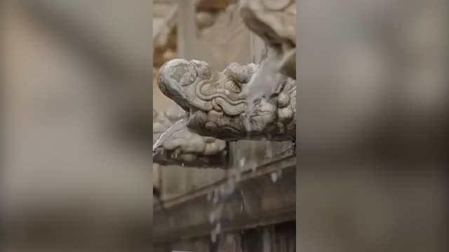 孙杨社交媒体发布视频回顾高光时刻：“经历磨难，才能成龙”