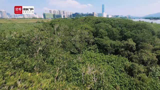 新时代！新平台！新作为！聚焦河套深港科技创新合作区！