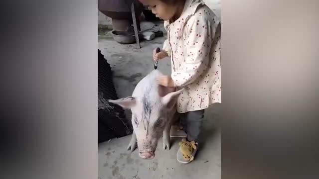小猪安静让3岁萌娃涂鸦按摩，母亲：有了小猪孩子远离了手机