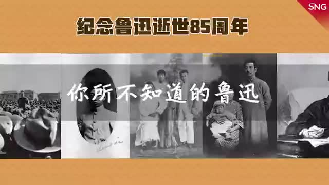 你所不知道的鲁迅