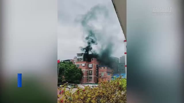 3名教师扑救火场助力消防营救