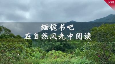 太惬意了！深圳湖光山色间竟有一个植物书吧