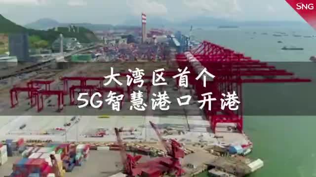 大湾区首个5G智慧港口开港