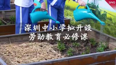 深圳中小学拟设劳动教育必修课，这所小学在楼顶打造种植体验基地