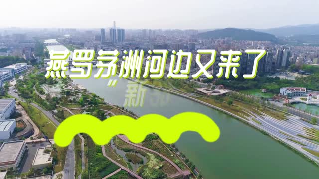 视频 | 宝安燕罗：茅洲河边又来了“新邻居”