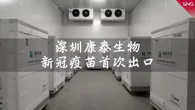 现场直击：深圳康泰生物产疫苗首次出口装箱现场