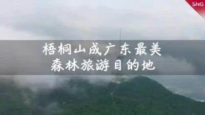 梧桐山入选广东十大最美森林旅游目的地