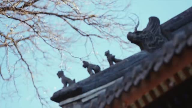 为国粹点赞！京剧的传承有我一份