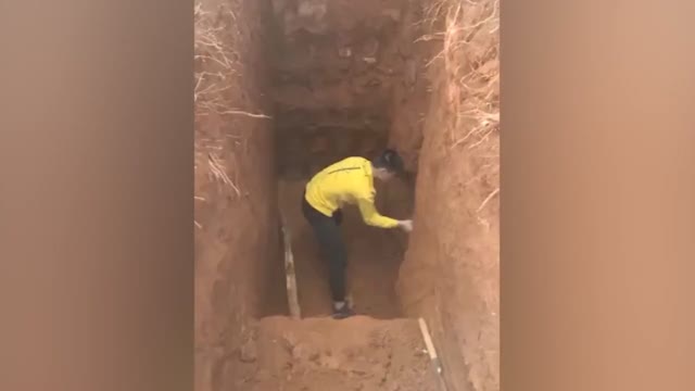 男子挖掘机挖出巨型山药，网友：堪比考古现场