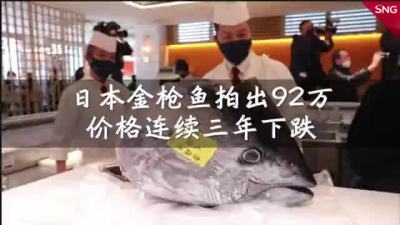 日本蓝鳍金枪鱼拍出1688万日元
