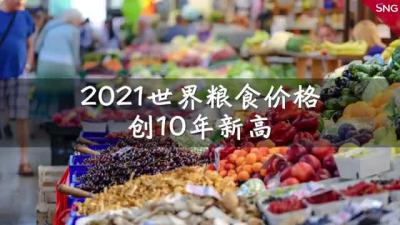 2021年世界粮食价格创10年新高