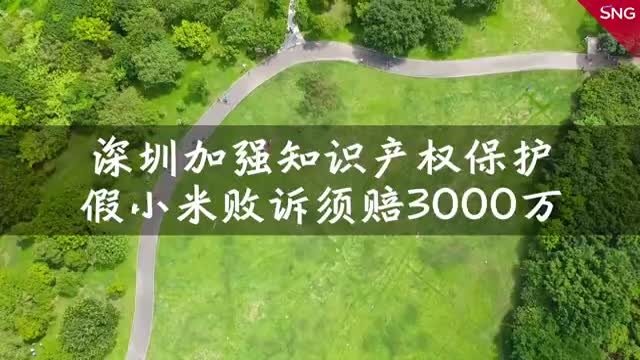 深圳打造知识产权保护标杆城市