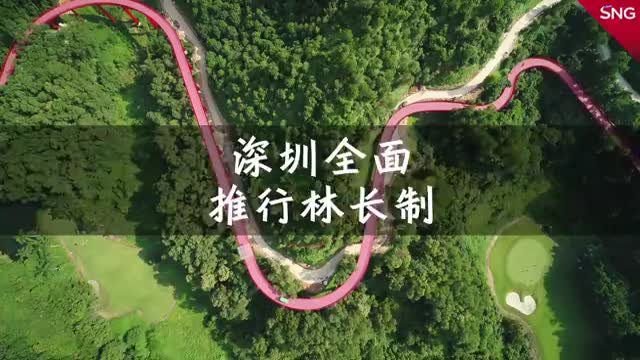 保护森林 深圳全面实行林长制