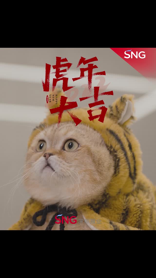 萌虎驾到！最可爱的新年祝福
