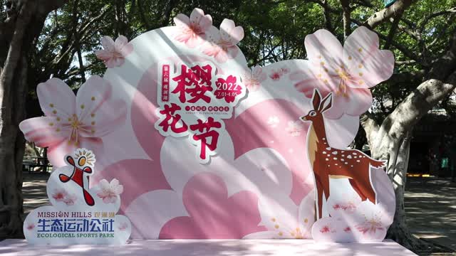 剪出“萌”虎生威  深莞观澜湖浪漫迎新春