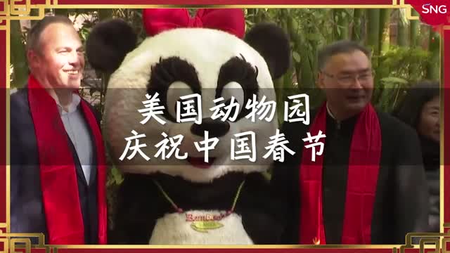 美国动物园庆祝中国春节，现场派发冰墩墩