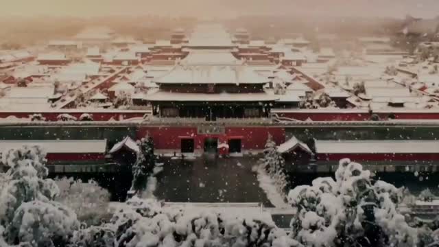 
这条推送，我们等了7年！
