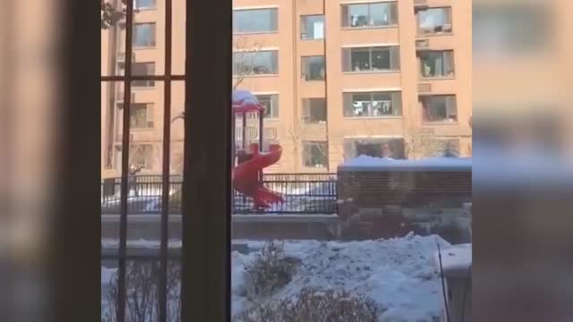 苏翊鸣疫情期间在小区练滑雪，网友：努力的人哪里都是训练场！