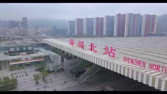 迎春花开，一路有爱！