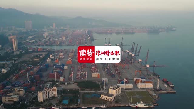停课不停学 名校名师在龙华云校“开麦”