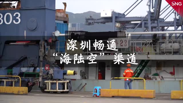 深圳海陆空渠道畅通助深企畅销全球
