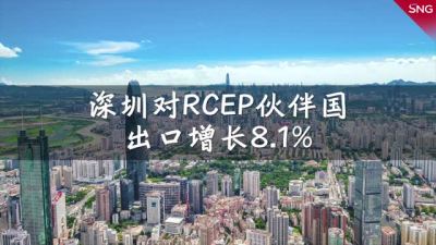 深圳对RCEP伙伴国出口稳步增长