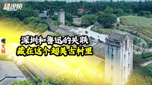 深圳和鲁迅啥关系？尽在这个超美古村里｜观文脉视频